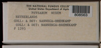 Image Associated With the Occurence